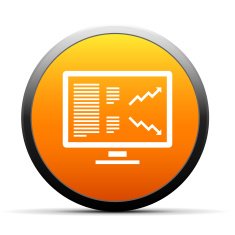 Computer Monitor icon on a round button N32