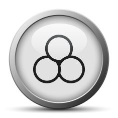 Venn Diagram icon on a silver button N3