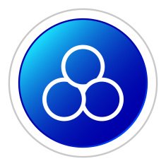 Venn Diagram icon on a round button N21