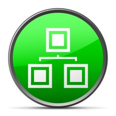 Organization Chart icon on a round button N14
