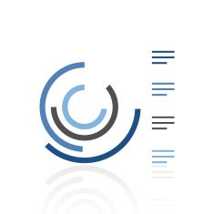 Radial Bar Chart icon on a white background N17
