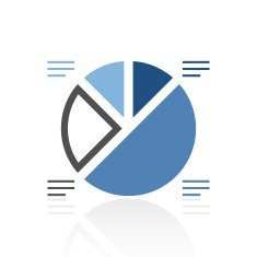 Pie Chart icon on a white background N22