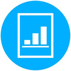 Document icon on a round button N91