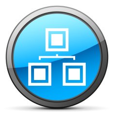 Organization Chart icon on a round button N18