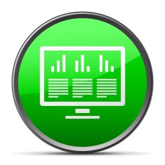 Computer Monitor icon on a round button N47