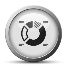 Donut Chart icon on a silver button N6