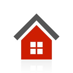 Home icon on a white background N21