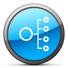 Organization Chart icon on a round button N28