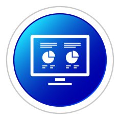 Computer Monitor icon on a round button N61