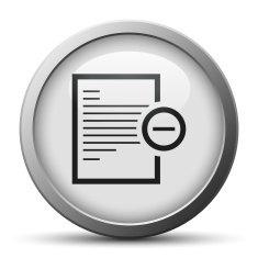 Document icon on a silver button N13