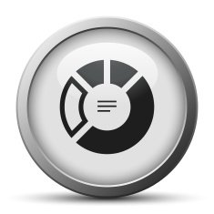 Donut Chart icon on a silver button N8