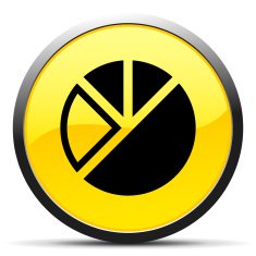 Pie Chart icon on a round button N46