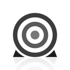 Target icon on a white background N50
