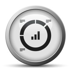 Donut Chart icon on a silver button N9