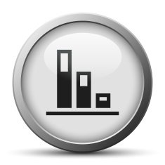 Bar Graph icon on a silver button N21