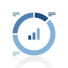 Donut Chart icon on a white background N58