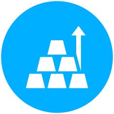 Gold icon on a round button N5