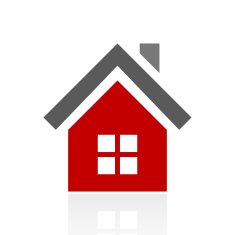 Home icon on a white background N46
