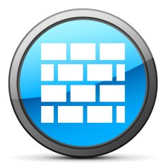 Wall icon on a round button N61