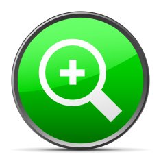 Magnifying Glass icon on a round button N2