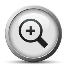 Magnifying Glass icon on a silver button