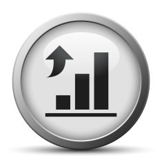 Bar Graph icon on a silver button N22