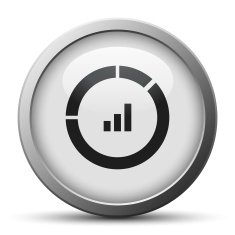Donut Chart icon on a silver button N10