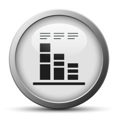 Bar Graph icon on a silver button N24