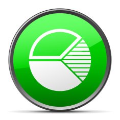 Pie Chart icon on a round button N51