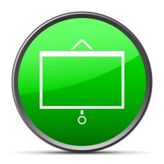 Presentation icon on a round button N46