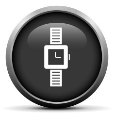 Wristwatch icon on a round button N17