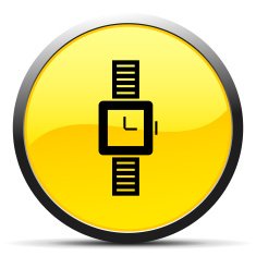 Wristwatch icon on a round button N18