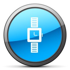Wristwatch icon on a round button N19