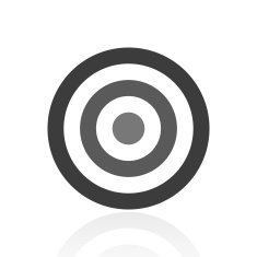 Target icon on a white background N70