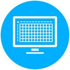 Computer icon on a round button N66