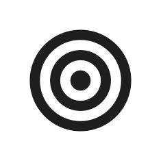 Target icon on a white background N72