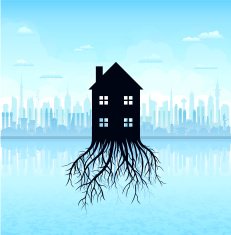 Growing Housing Market