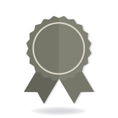 certification icon vector