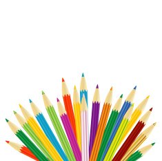 varicoloured pencils on a white background