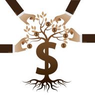 money tree concept