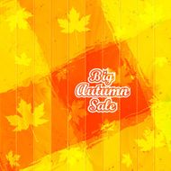 Big Autumn Sale Autumnal Maple Leaf on a wooden background N3