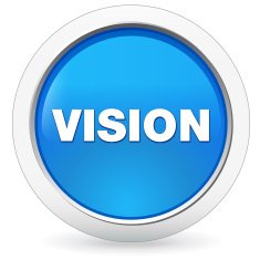 Vision N2