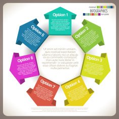 Minimal infographic template N3