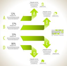 Minimal infographic N13