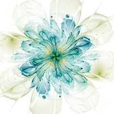 fractal flower N2