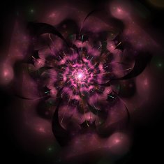 fractal flower N8