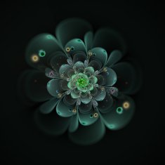 fractal flower N12