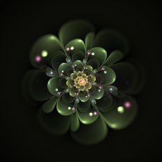fractal flower N19