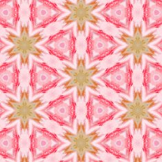 Glamorous pink geometric abstract ethnic ornament N2