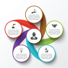 Vector circle infographic N7